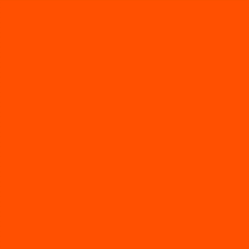 Buy blaze-orange-1282 DANG New Colors
