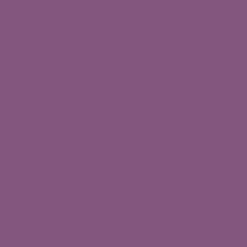 Buy rv-283-sultan-violet MTN 94 COLORS 181-323