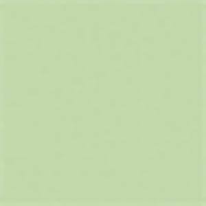 Buy breeze-green-spectral MTN 94 COLORS 1013-8023 AND SPECTRALS